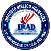 Imagen de INSTITUTO BÍBLICO HUAMALÍES